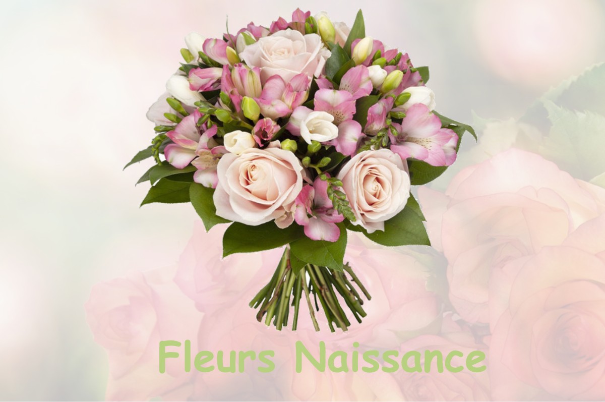 fleurs naissance SAINT-GEORGES-DE-RENEINS